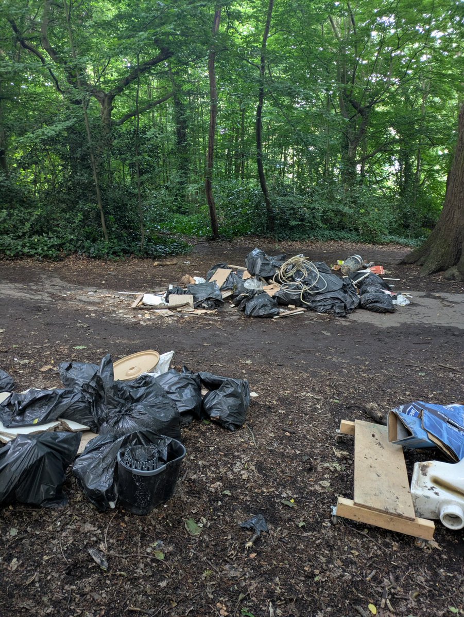 hugorifkind's tweet image. Our local, beautiful, community-maintained North London beauty spot. Fucking bastards.