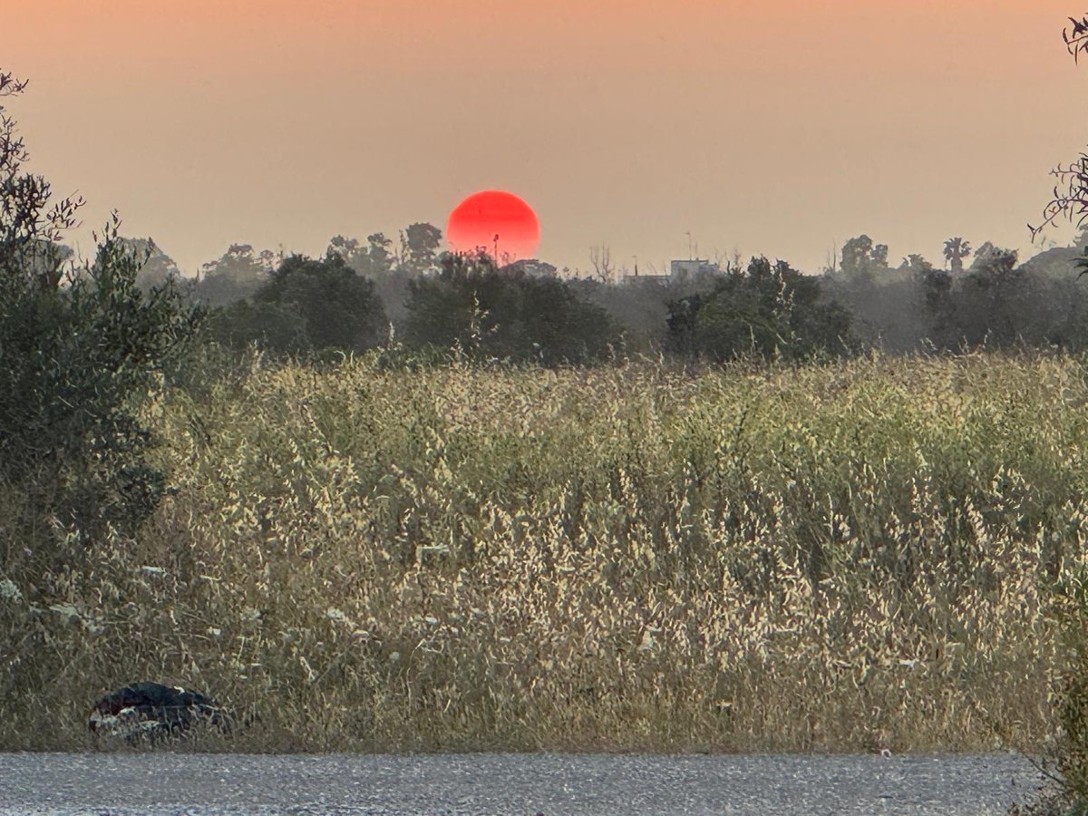 Rita Maria Nuzzone tweet media