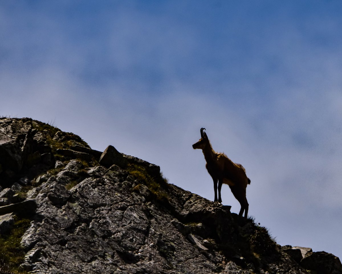 Aquests son els instants que fan que tota la resta tingui sentit.