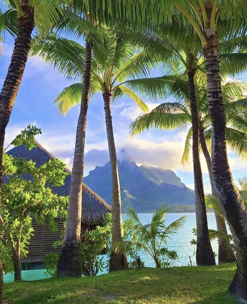 Paradise in Bora Bora 🌴