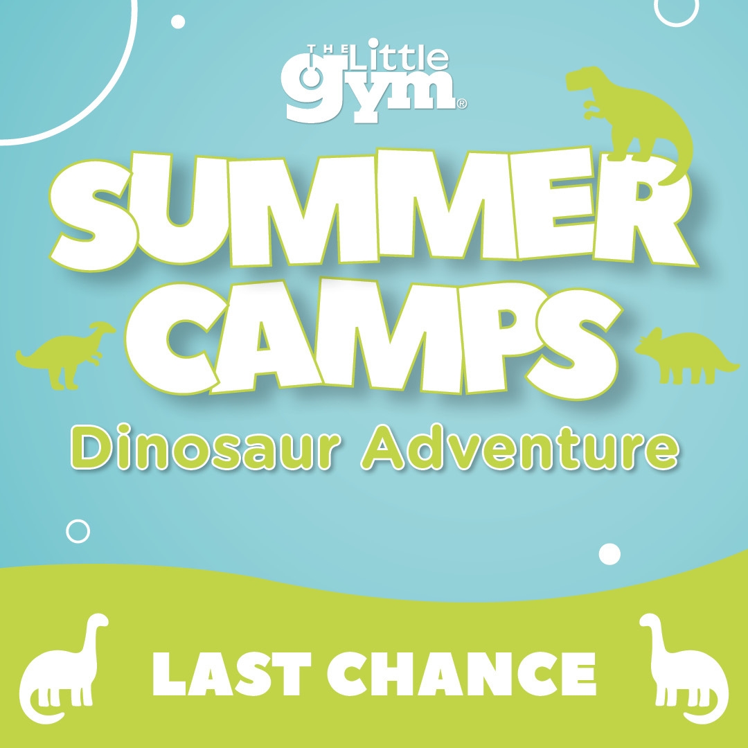 tlgavon's tweet photo. Let the CAMP adventure begin! Triceratops, Velociraptors, and dinosaurs of all kinds come alive in our Jurassic Gym! Each Super Kid-osaurus will experience prehistoric adventures using big body play, directive activities and thrilling games! We still have space available this... https://t.co/HsU0XGtIe2