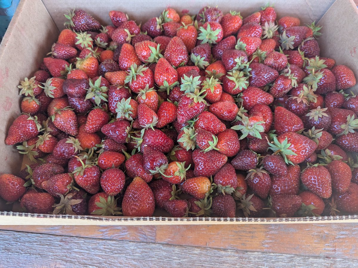 Zhiting Xu tweet media