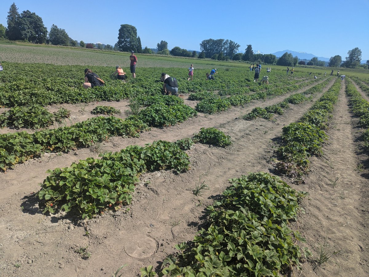 Zhiting Xu tweet media