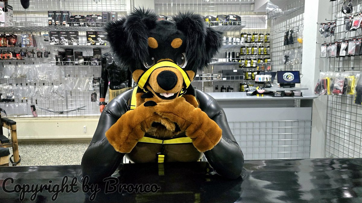 🐾Rubber Dog Bronco 🐾 🔜 Folsom, EF (@rubberdogbronco) on Twitter photo 