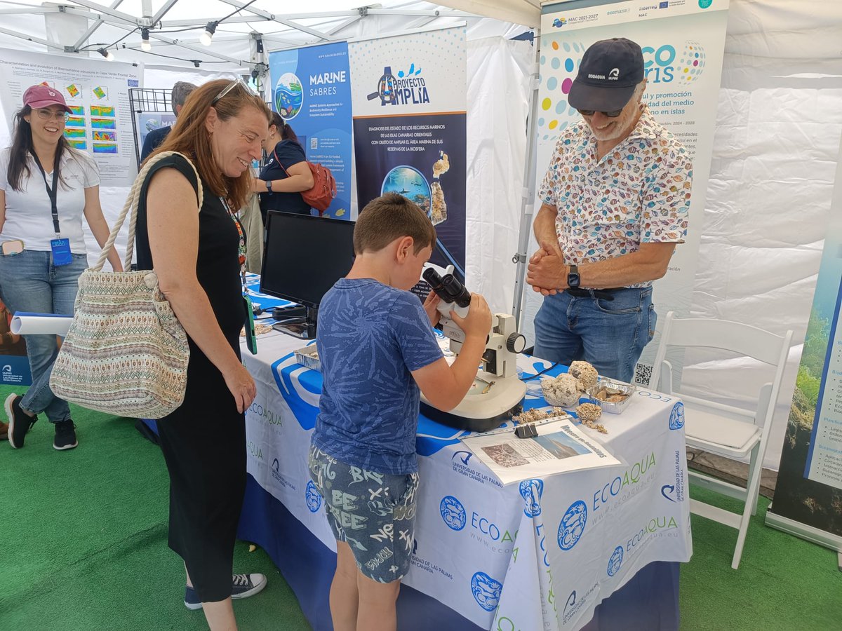 LifeWatchERIC's tweet image. What a wrap for this incredible 🐙 #MarineSABRESfair at #FIMAR2025! 🪼

🌍 🌐 We engaged with school students, families with children, passionate enthusiasts and the general public at large from all around the world. Thank you to everyone who visited our stand, it was amazing!