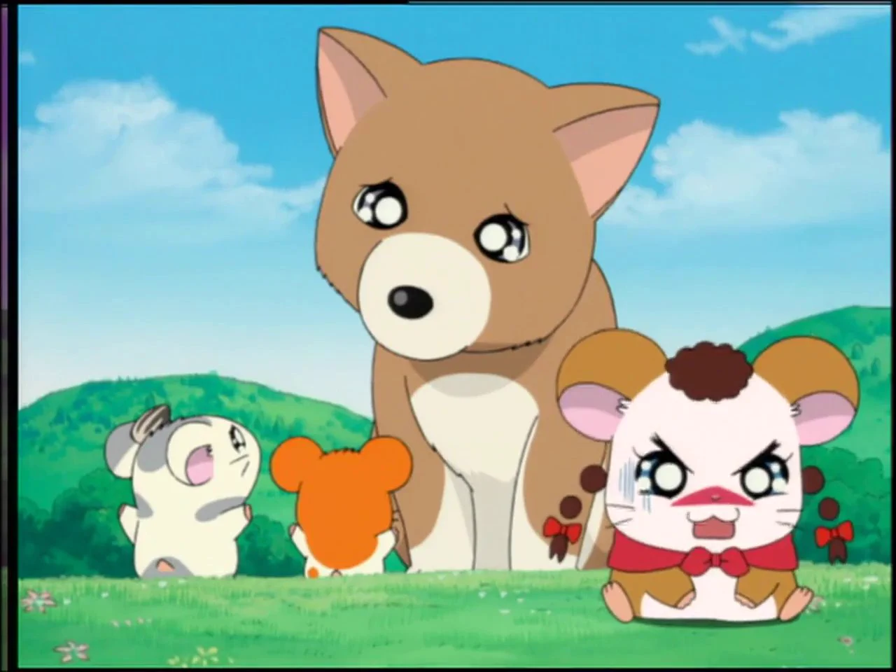 Hamtaro・ハム太郎 on X: 
