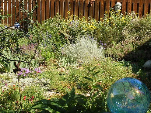 ColoradoNPS's tweet photo. CoNPS E-news June 2025 - https://t.co/q3f01zKMxJ https://t.co/GuM6NURdBn