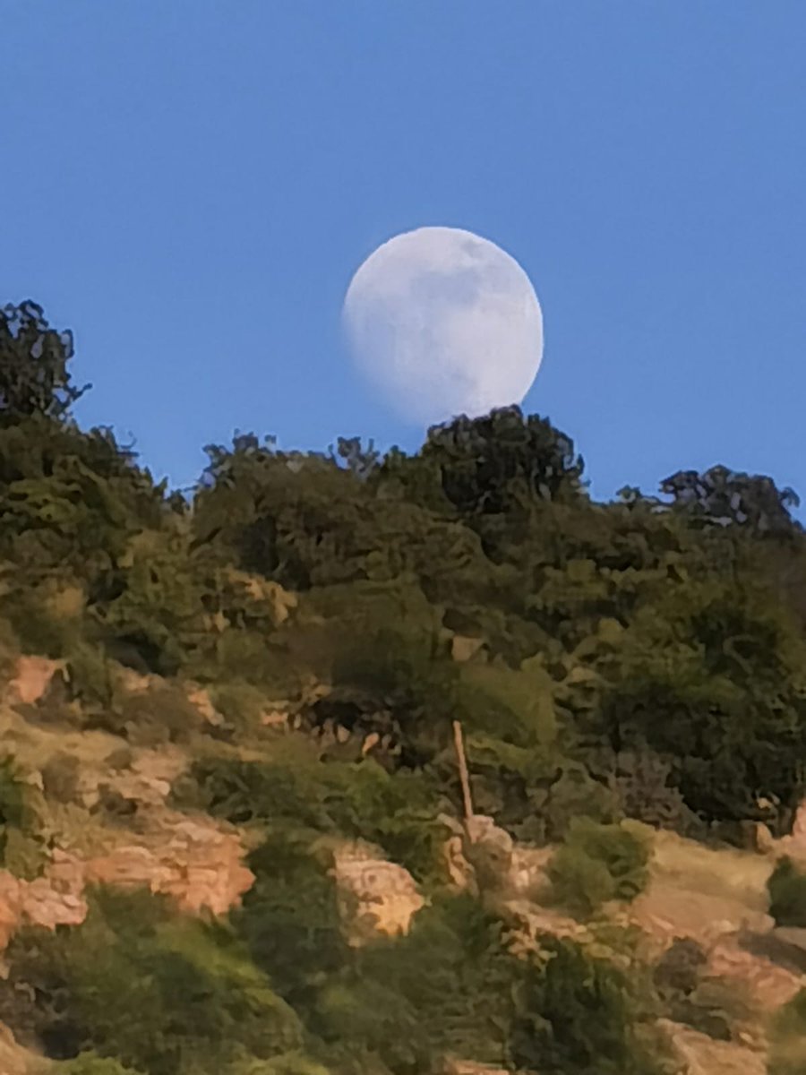 Merhaba güzellikler ile dolu günler olması dileğiyle Erzincan Kemaliye köylerinden arkadaşların gönderdiği bir görsel ile tüm dostlara selamlar iyi akşamlar. 🌾🌻🌳🕊