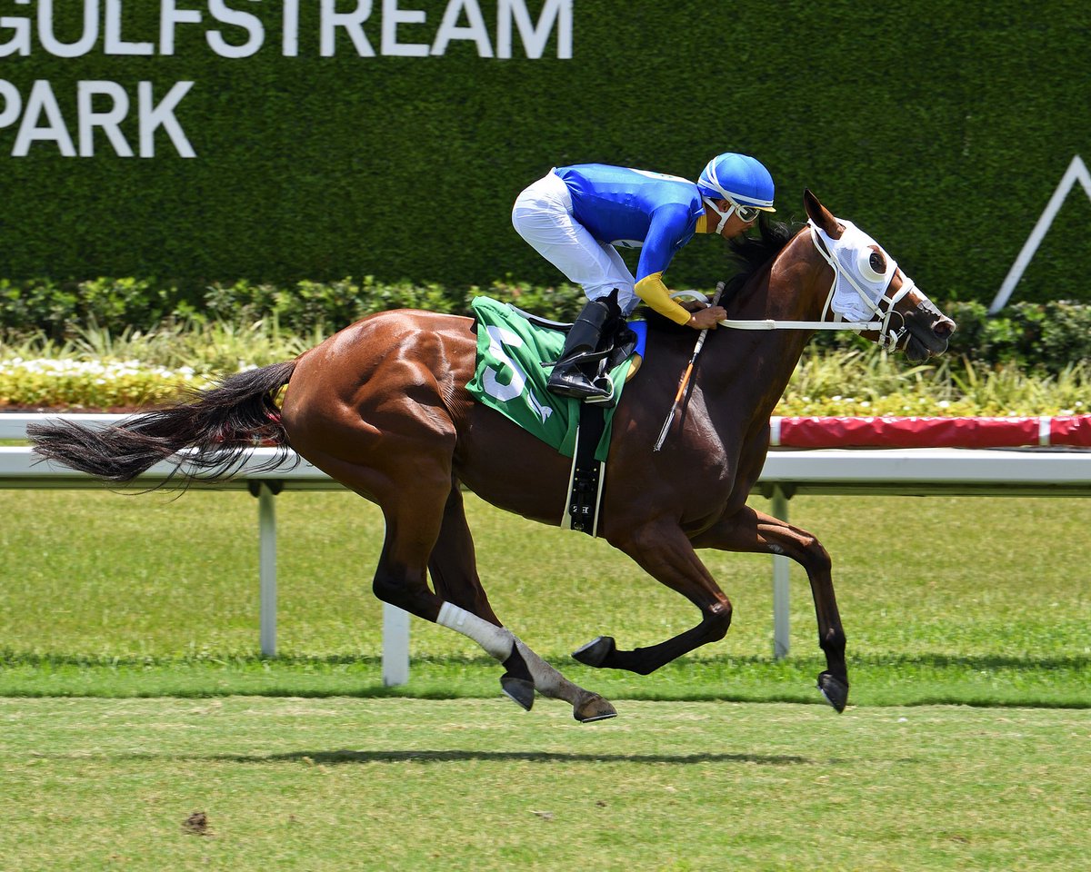 Sol (@sol_baby_jesus) on Twitter photo <a href="/LLCazares/">Laura Cazares</a> is on fire right now
SUGAR BUZZ ran perfectly winning the Sat nightcap at 14-1! Congratulations to <a href="/Josemorelos_/">José Morelos</a> & connections! 
Today Laura won the opener with SIZZLE on barn debut for
-Golden Kernel Racing! Edgard Zayas aboard. 
Not long after her 100th win
Laura <a href="/LLCazares/">Laura Cazares</a> is on fire right now
SUGAR BUZZ ran perfectly winning the Sat nightcap at 14-1! Congratulations to <a href="/Josemorelos_/">José Morelos</a> & connections! 
Today Laura won the opener with SIZZLE on barn debut for
-Golden Kernel Racing! Edgard Zayas aboard. 
Not long after her 100th win
Laura