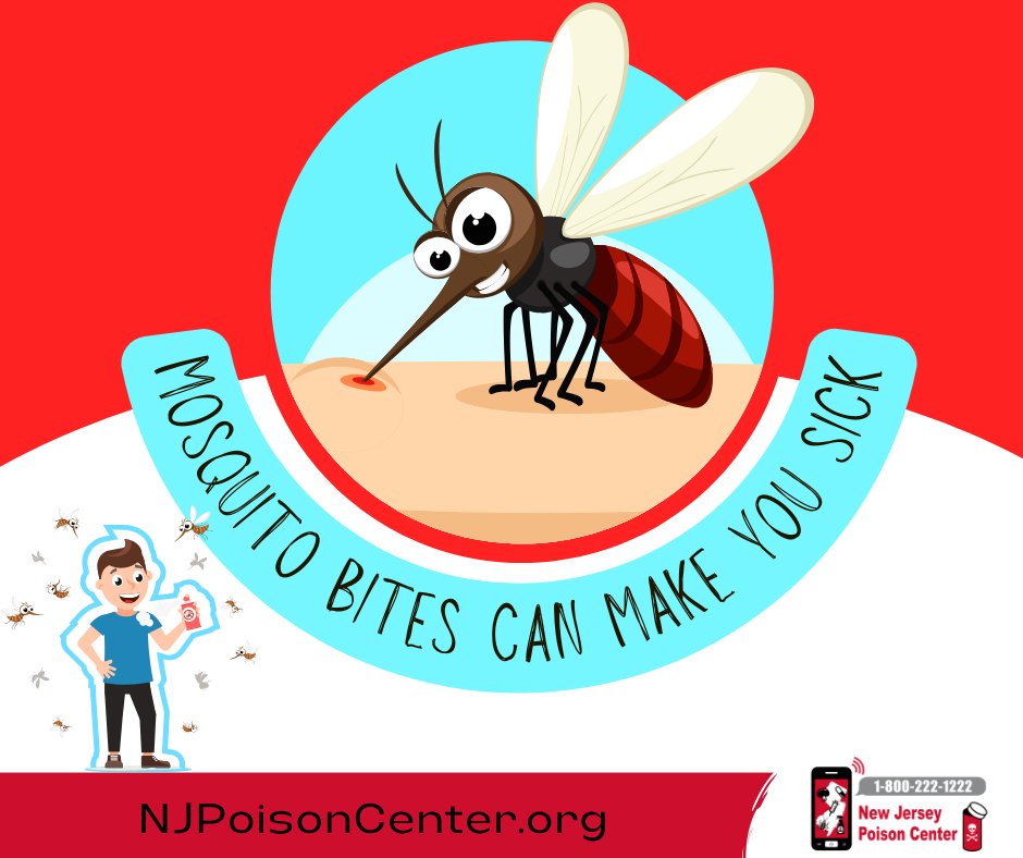 🦟 Over 60 species of #mosquitoes live in NJ.
Prevent bites:
🧳 Bring bug spray when traveling. Mosquitoes live everywhere!
✅ Use EPA-registered repellent👉 bit.ly/3h1GLUX
👶 Repellent must be age-appropriate.
🔎 🐶🐱 Check pets for ticks.📱👨‍⚕️ #PoisonHelp 1-800-222-1222