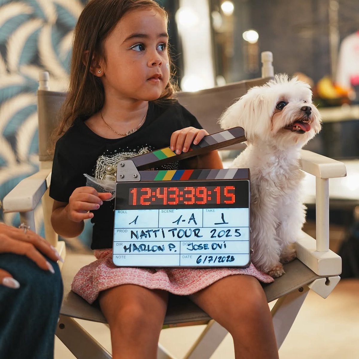 PINA RECORDS tweet media