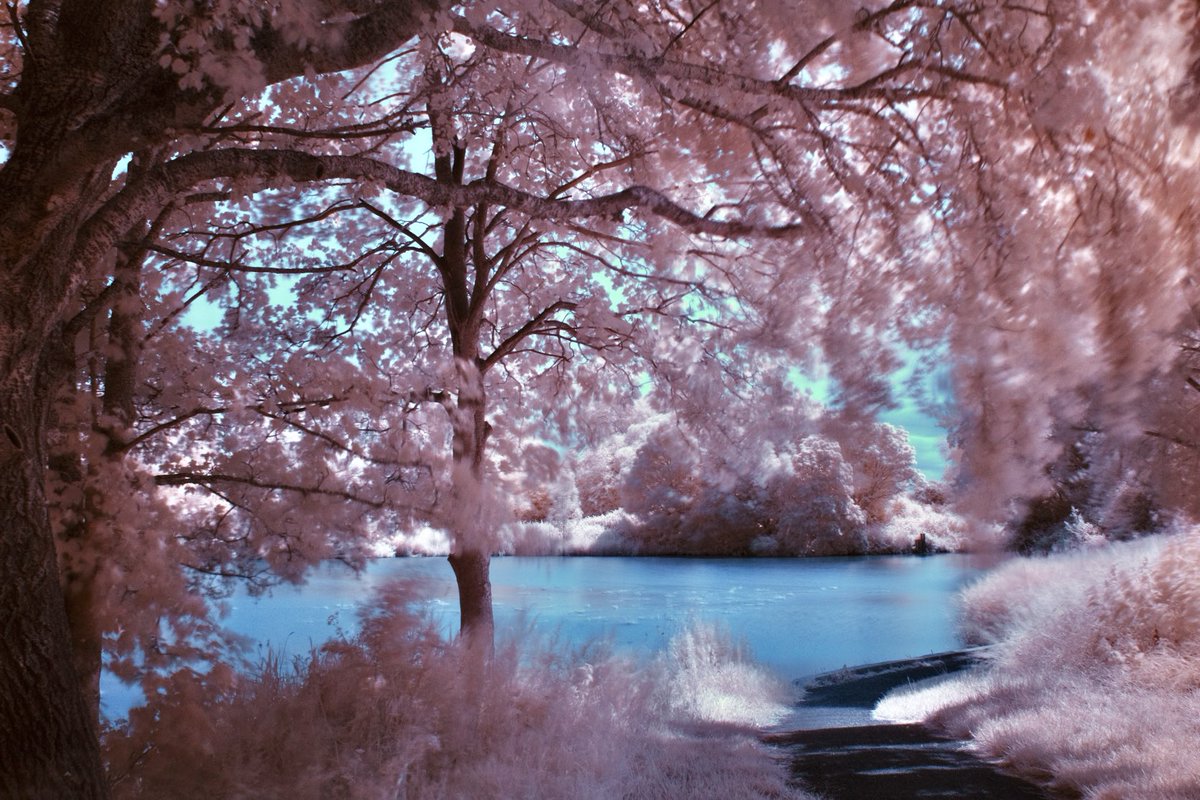 Apex Park in infrared