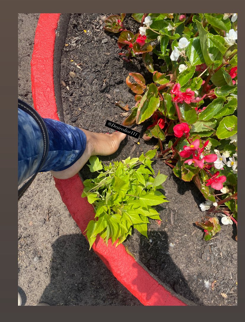 who’s licking the dirt off my feet for 1k
stomping your face this sunday afternoon would bring me great joy 🤩 

|footfetish|ebonyfeet|findom|femdom