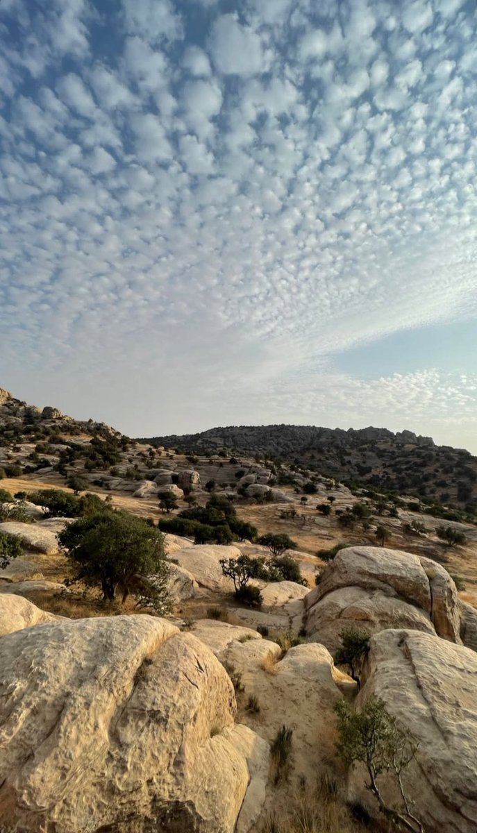 MGML_28's tweet photo. SOUTH JORDAN 🇯🇴📍. https://t.co/6a9zZq0Q8A