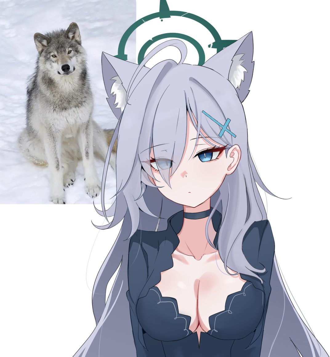 SteFunKife DEMON est tweet media