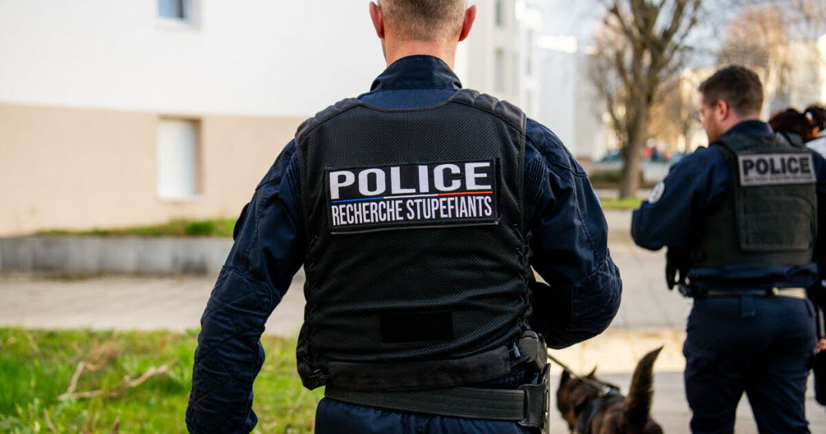 Dijon. Trafic de stupéfiants : deux vendeurs interpellés ce week-end
➡️ l.bienpublic.com/xTf