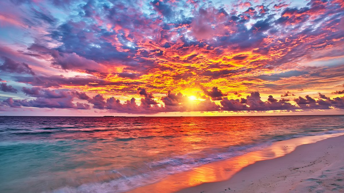 JCP in Swansea Bay tweet media