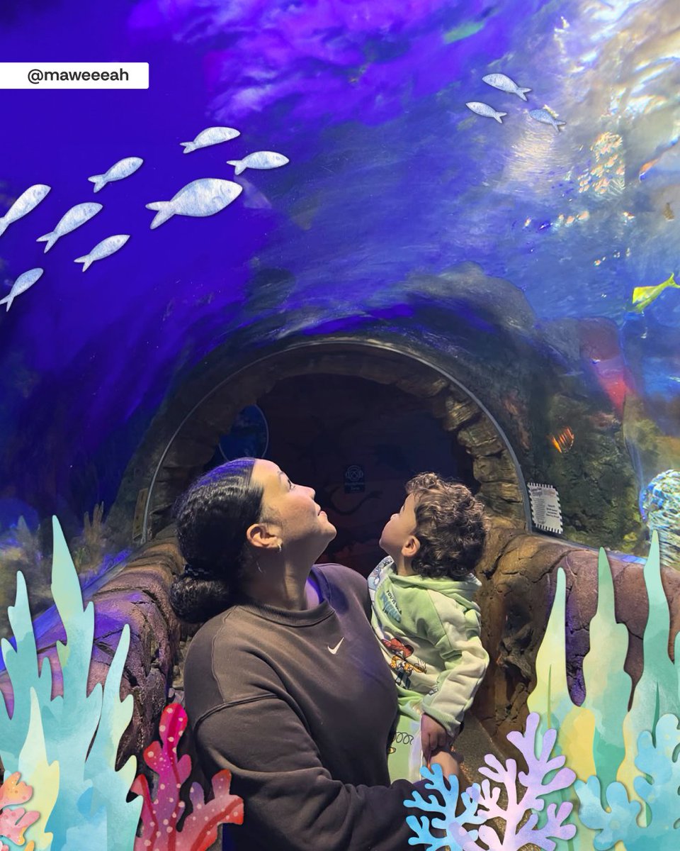 Celebrate #WorldOceansDay at @sealifeusa and unlock a day of learning and explorations! 🐬

🐠 Join us as we celebrate the beauty and importance of our ocean, and learn how you can help protect its precious ecosystems for generations to come: bit.ly/3HgbopI