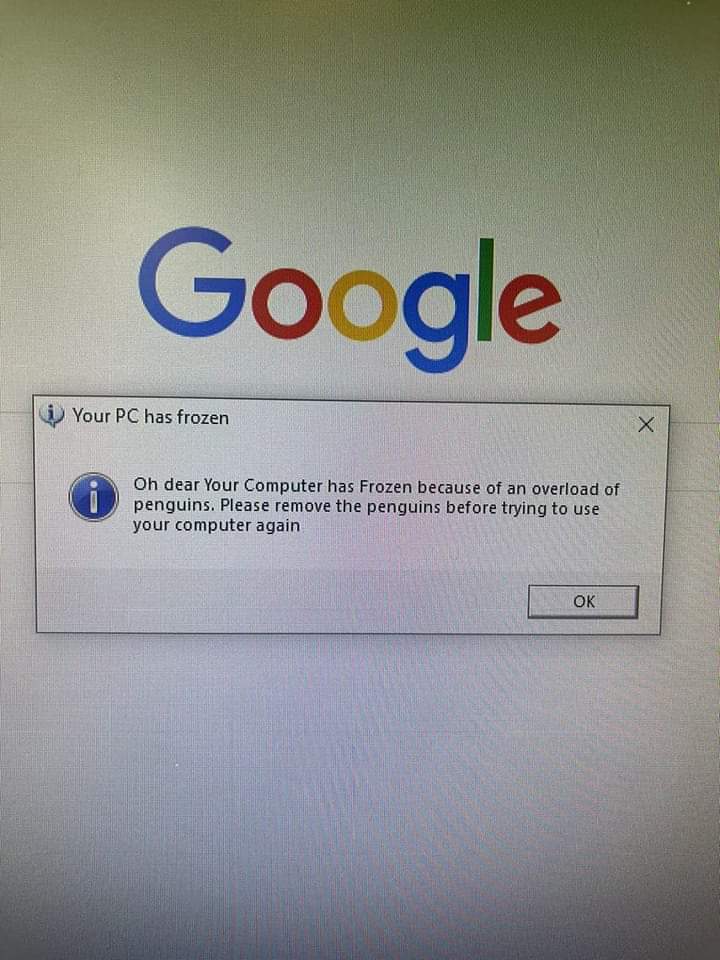 Gotta get all those penguins out 🤣🤣🤣