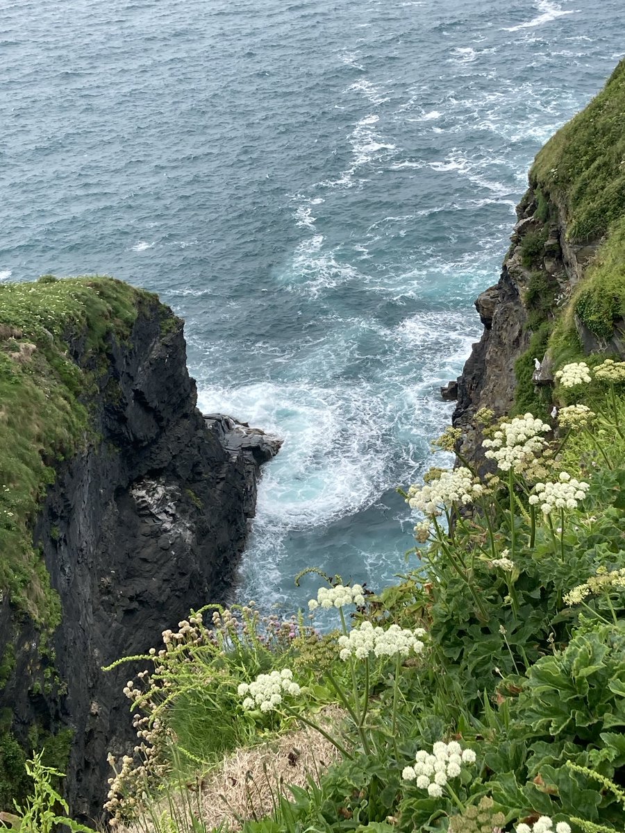 LouBcakes's tweet photo. Moved on to #Tintagel today. #Weather is slightly improved, although still very windy. Scenery is absolutely stunning! Staying at #TrewethettFarm #CAMC site #motorhome #adventures #Betty the #Bürstner https://t.co/m0D7uK8YB6
