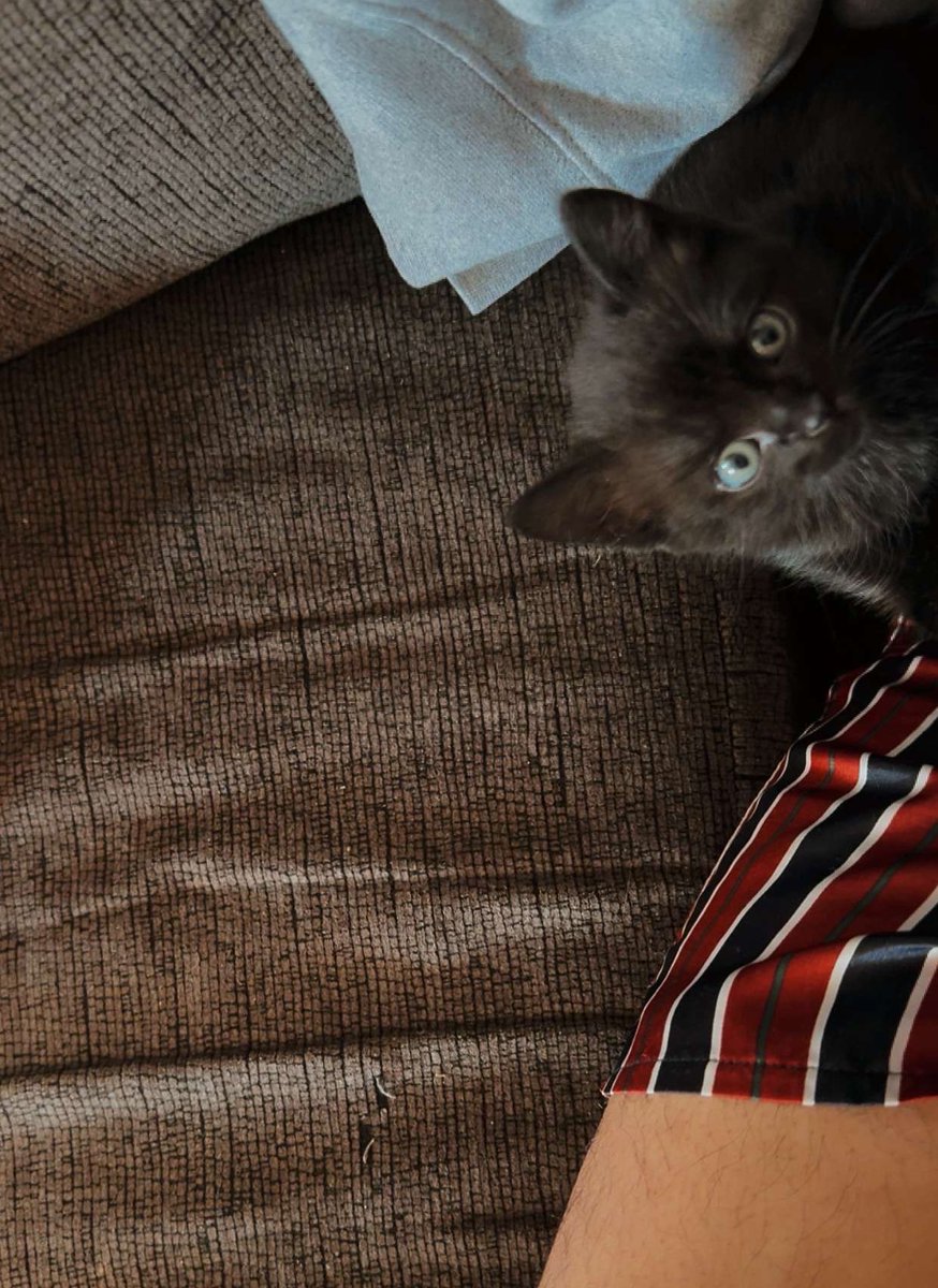 honaghaahnii's tweet image. please help me share or help w any interaction. any small bit helps. survival funds needed.

*kitty photo for attention* 🐈‍⬛
#SettlerSunday #SettlerSaturday #NativeFamilyFriday #MutualAidRequest