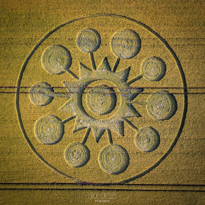 Jordan Crowder tweet media