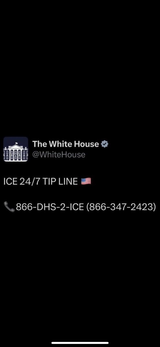 NoFilters tweet media