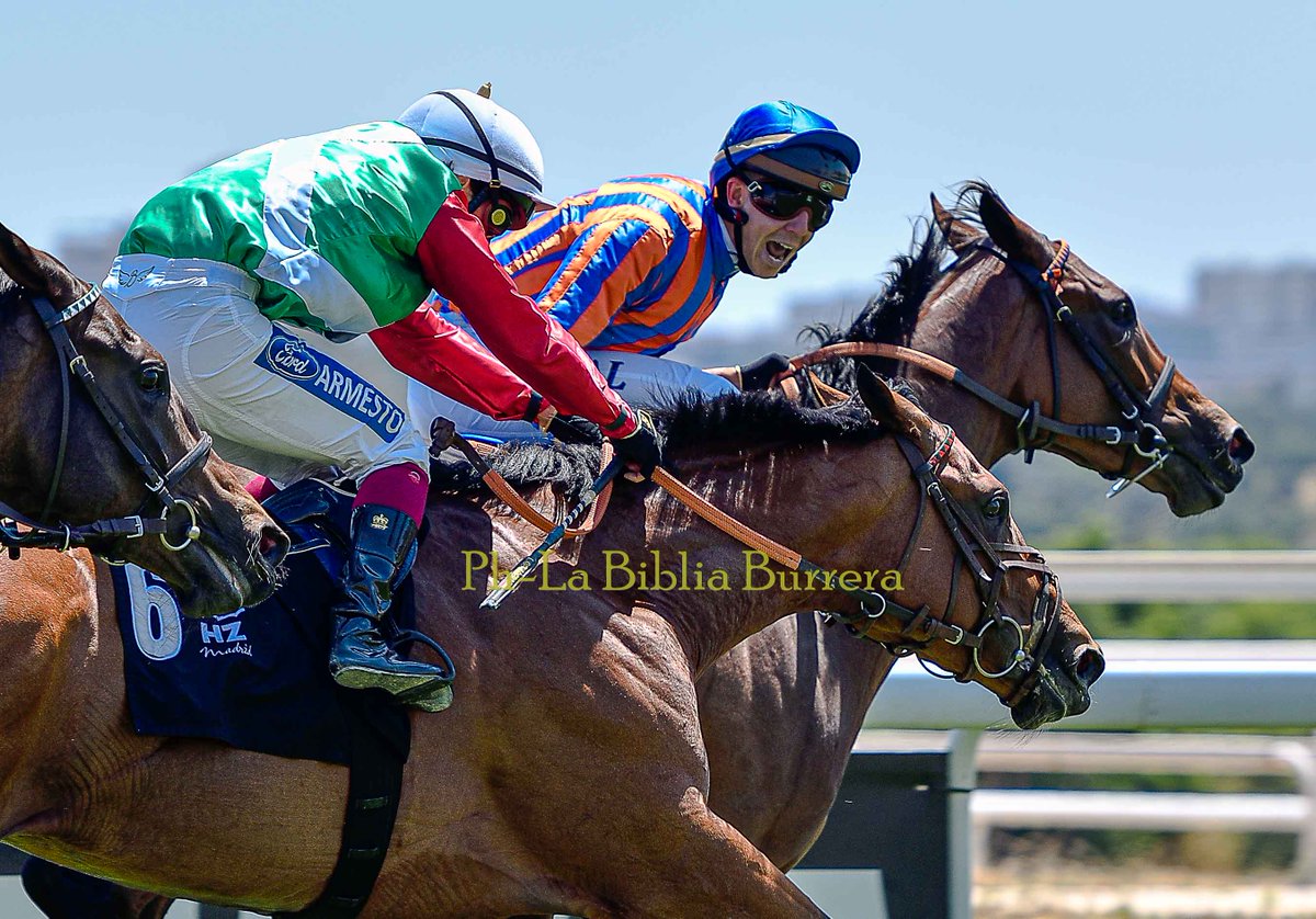 ESTRAUNZA (FR) con la monta de Alejandro Gutiérrez Val fue el ganador del Derby en el Hipódromo de La Zarzuela, entrenador Ch. Delcher que cerró la gemela con El Salor.