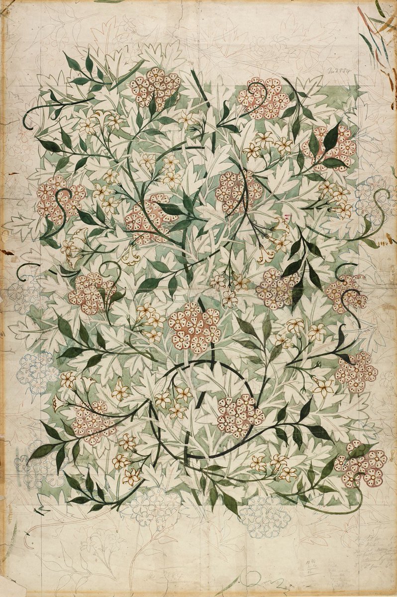 Wallpaper design: Jasmine. William Morris. 1872. 
Image: BMAG.