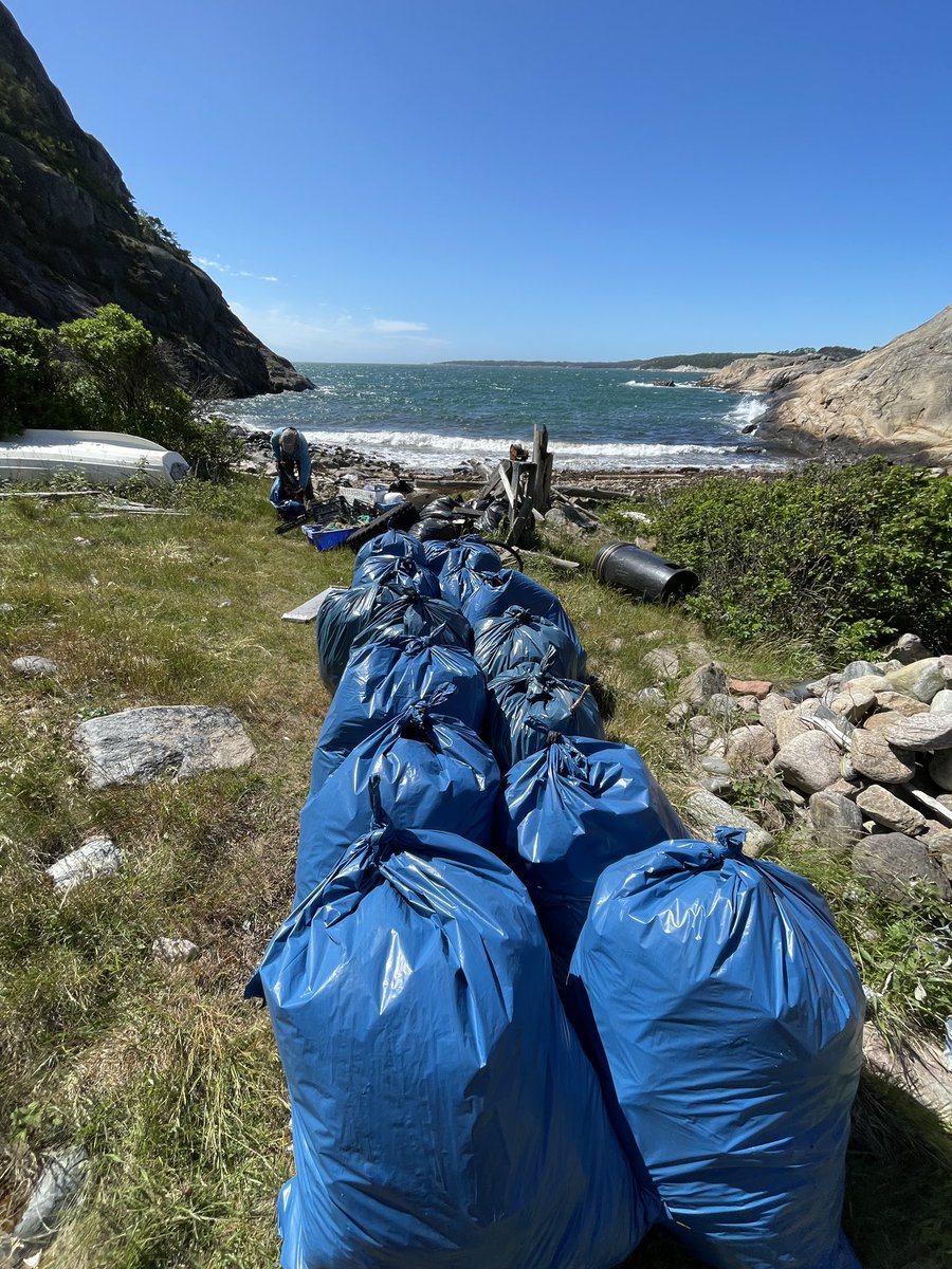 _CleanSea's tweet image. Happy World Oceans Day!
What’s one thing you can do today to help our oceans? Share your ideas below! 👇
Let’s keep our oceans clean and thriving for generations to come. 🌊🙌