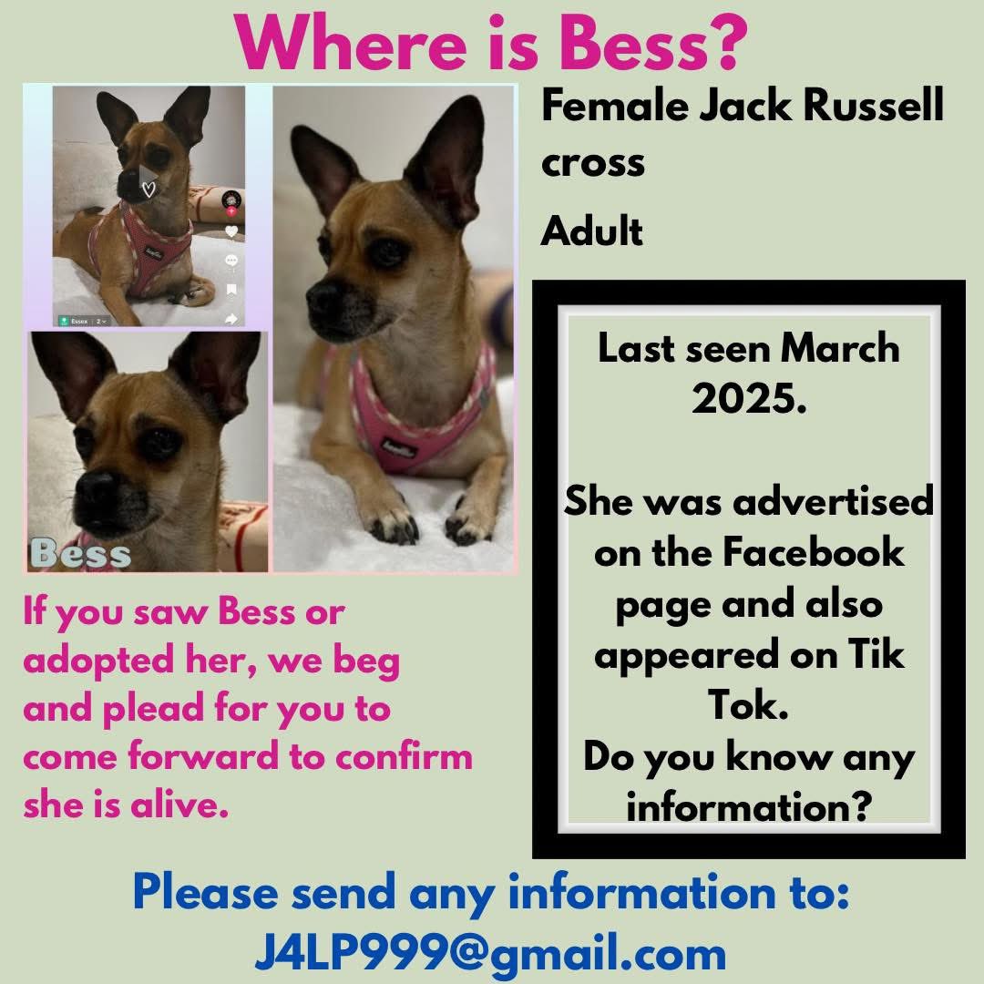 Rosie Doc (@rosiedoc666) on Twitter photo #StolenDogHour
HAS SOMEONE YOU KNOW ADOPTED/ BEEN GIVEN OR SOLD A DOG LIKE BESS?
Family need to know if she’s ok pls?
Female #JRT X ADULT
Last seen March 25
Advertised on FB #SaveAPawRescue and TikTok
<a href="/AdoptionsUk/">Animal Adoptions UK 🐕🦺🐈🐎❤️</a> <a href="/The_Animal_Team/">The Animal Team</a> <a href="/Eloquencealways/">Rosemary</a> <a href="/vee_essex/">🌻veronica 💙💙</a> <a href="/joannew0112/">Jo Jo</a> #StolenDogHour
HAS SOMEONE YOU KNOW ADOPTED/ BEEN GIVEN OR SOLD A DOG LIKE BESS?
Family need to know if she’s ok pls?
Female #JRT X ADULT
Last seen March 25
Advertised on FB #SaveAPawRescue and TikTok
<a href="/AdoptionsUk/">Animal Adoptions UK 🐕🦺🐈🐎❤️</a> <a href="/The_Animal_Team/">The Animal Team</a> <a href="/Eloquencealways/">Rosemary</a> <a href="/vee_essex/">🌻veronica 💙💙</a> <a href="/joannew0112/">Jo Jo</a>