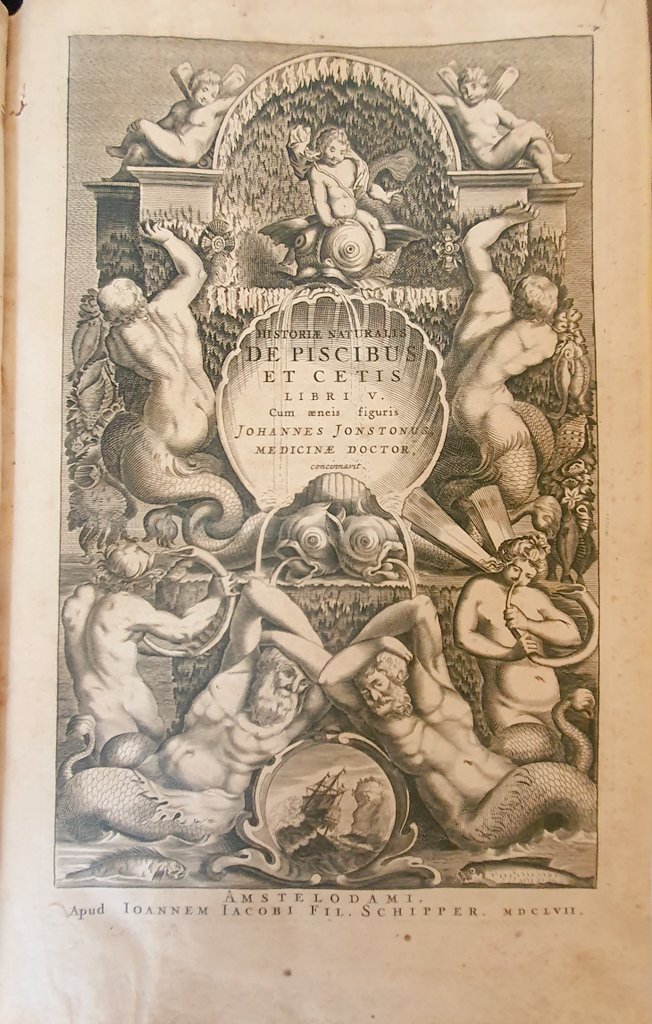 Ci congediamo da questa entusiasmante #MuseumWeek con una riflessione: il riscaldamento degli #OceaniMW ha un impatto negativo sulla fauna marina, proteggiamola! Per questo vi salutiamo con il frontespizio del Trattato "Historiae Naturalis de Piscibus et Cetis" del 1657 🐠🐳 🤗