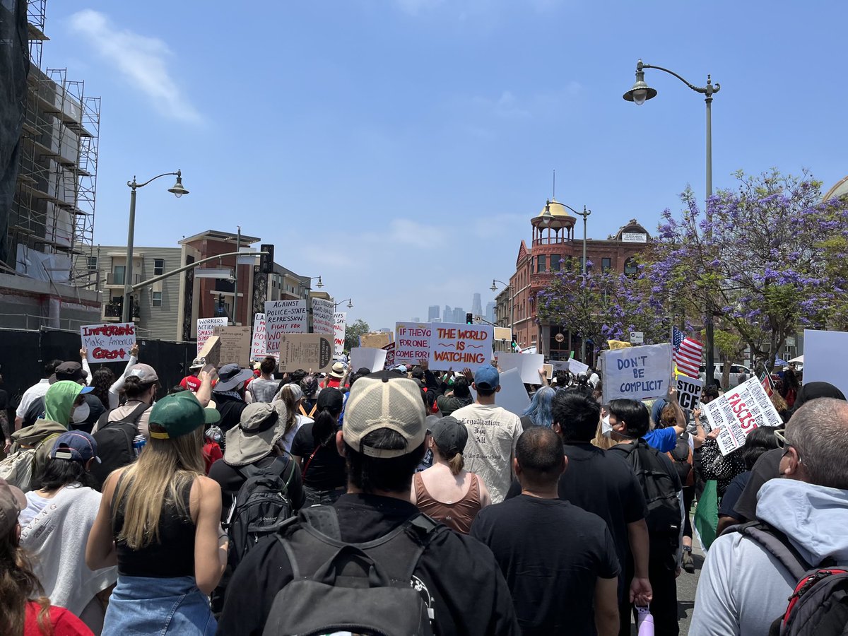 Molly Hennessy-Fiske tweet media