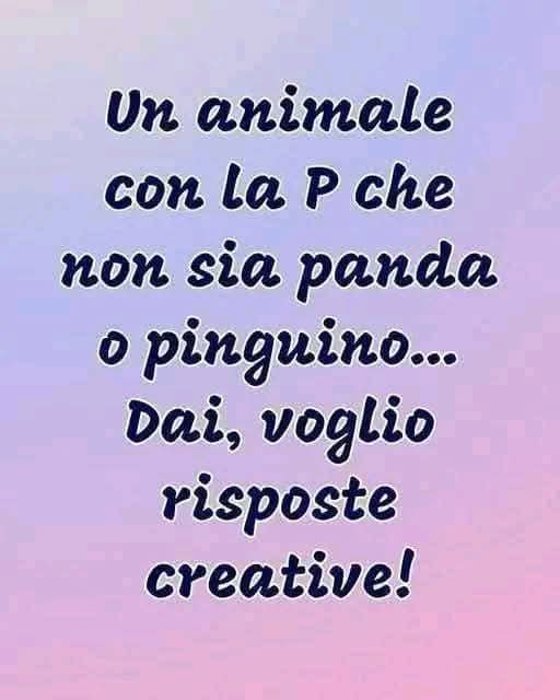 CuoreIschitano's tweet photo. Procione... https://t.co/SUbmwUHQEt