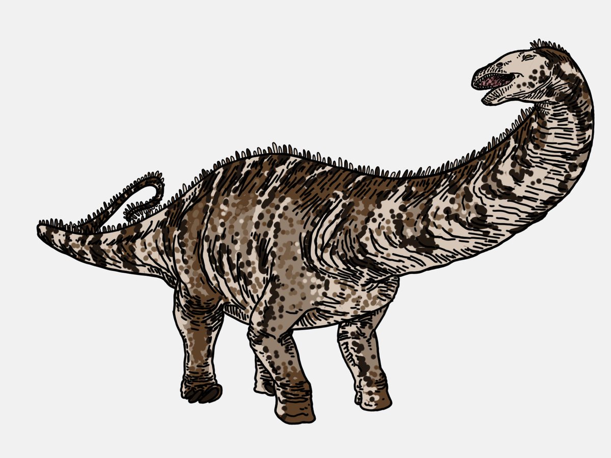 This Guy needed colors too
Spiked or not spiked it's up to you
Correction: This guy is an Apatosaurus not Diplodocus
Dippy may be here soon
