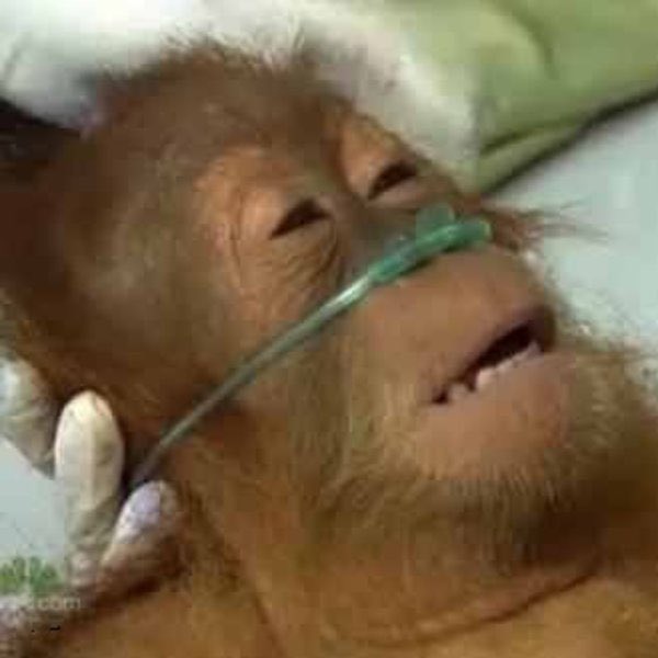 Me
During 3rd 4th 5th set