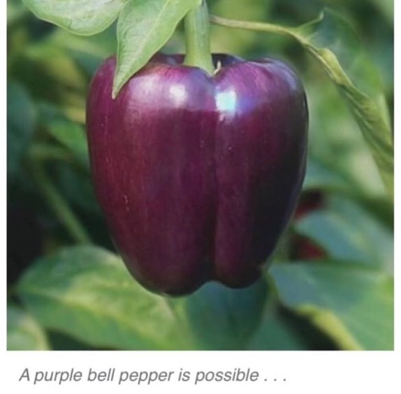 Grande (@sixrande) on Twitter photo 