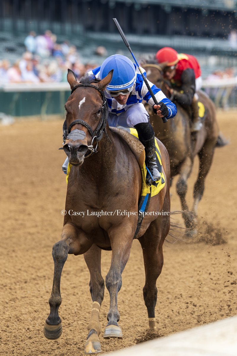 casey_laughter's tweet photo. Hopping on the @jameypricephoto / Scott Serio trend of #whatIsaw versus #whatIshot.
📸 Kilwin winning the Leslie's Lady Overnight Stakes at Churchill Downs with Edgar Morales aboard. https://t.co/HXWQGNTDoZ