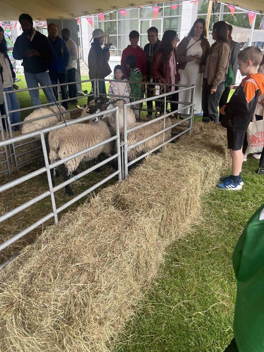 Dr Emma Feeney (@emmalfeeney) on Twitter photo These guys had a ball at <a href="/FestivalUCD/">UCD Festival</a> yesterday- milked a cow, saw some animals <a href="/ucdagfood/">UCD School Ag & Food</a> , learned about environmental impacts of different foods <a href="/foodcocentre/">Co-Centre for Sustainable Food Systems</a> and picked up some chocolate milk <a href="/fhi_tweets/">Food for Health Ireland</a> before the bouncy castles! Huge well done organisers & volunteers 👏🏻👏🏻 These guys had a ball at <a href="/FestivalUCD/">UCD Festival</a> yesterday- milked a cow, saw some animals <a href="/ucdagfood/">UCD School Ag & Food</a> , learned about environmental impacts of different foods <a href="/foodcocentre/">Co-Centre for Sustainable Food Systems</a> and picked up some chocolate milk <a href="/fhi_tweets/">Food for Health Ireland</a> before the bouncy castles! Huge well done organisers & volunteers 👏🏻👏🏻