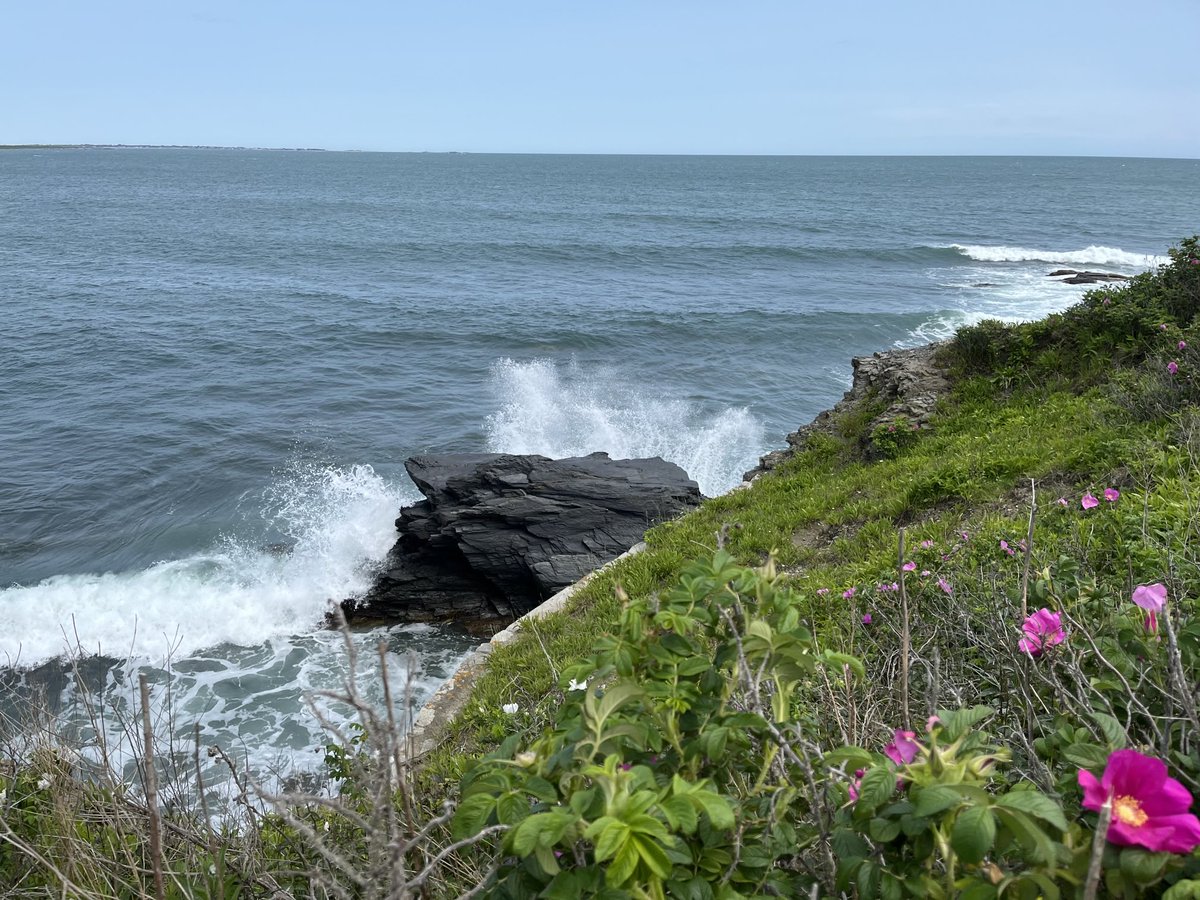 Thank you to Lizzie Coulson and Bruce Carter for the opportunity to speak at the GRC on Neurotrophins! Great science and a beautiful location in Newport RI! 🌊