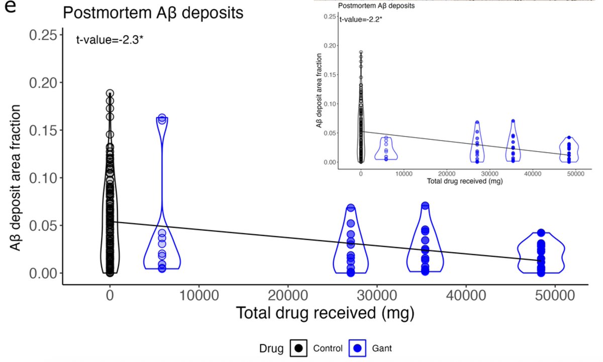 Near-complete amyloid clearance does not produce changes in tau pathology or neuroinflammation, as per the latest autopsy study of individuals with autosomal dominant #Alzheimers treated with #gantenerumab in the DIAN-TU trial. (1/3)
link.springer.com/article/10.100…