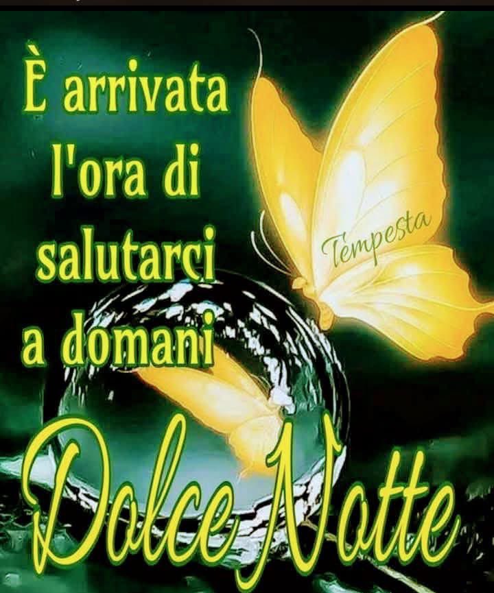 RITABIANCHi56 tweet media