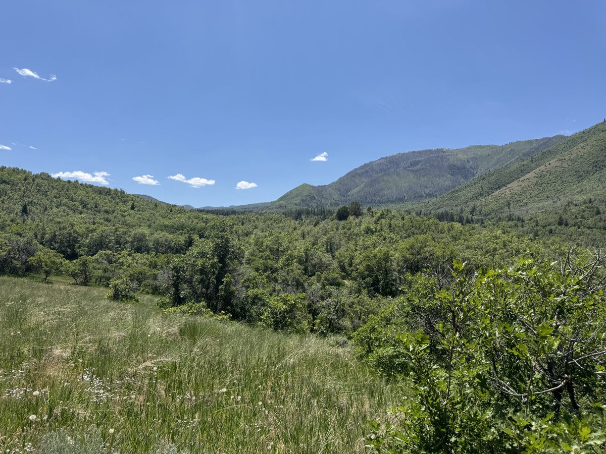 Hookemcougs's tweet image. First sabbath day hike in the books this year.