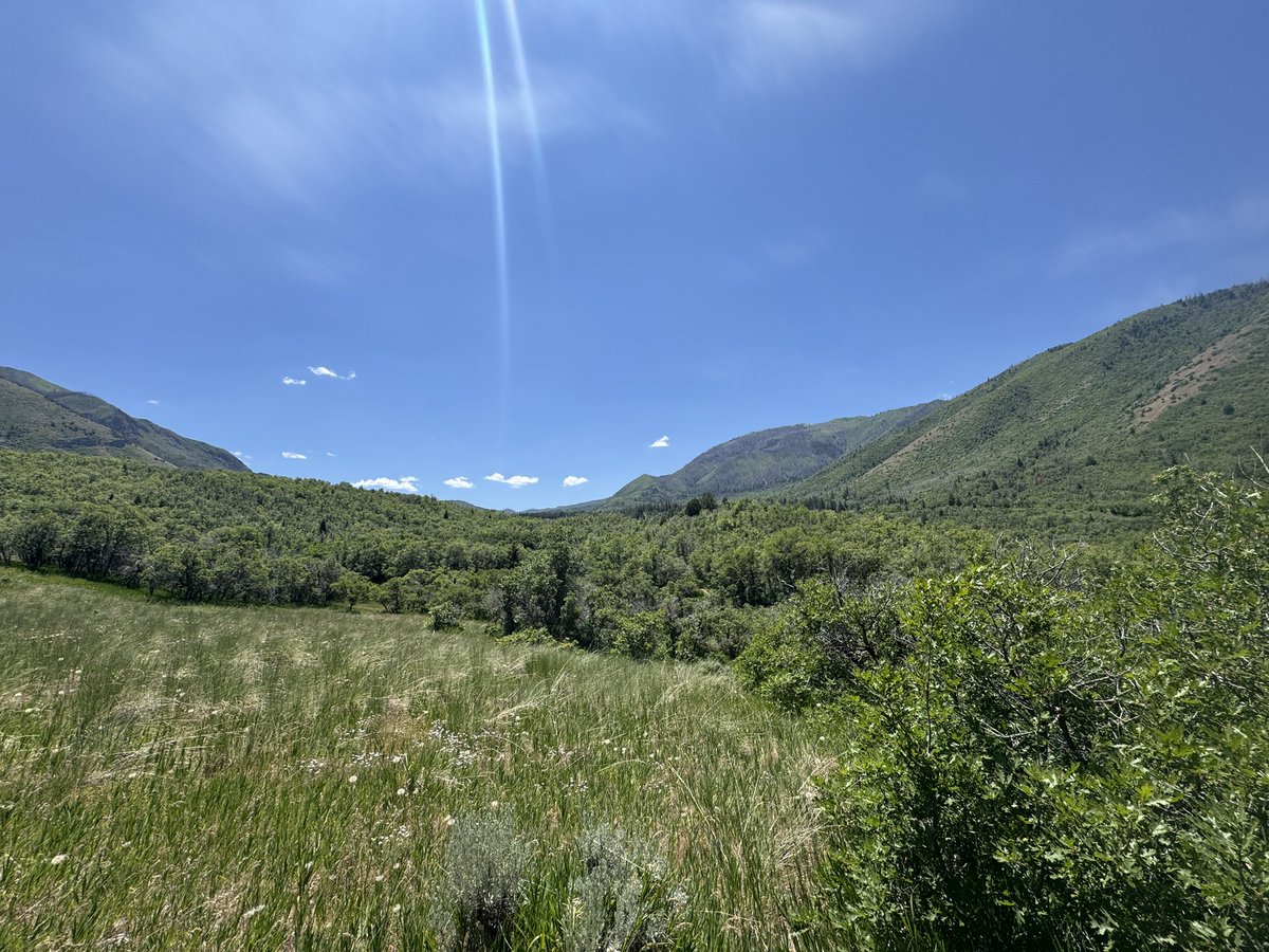 Hookemcougs's tweet image. First sabbath day hike in the books this year.