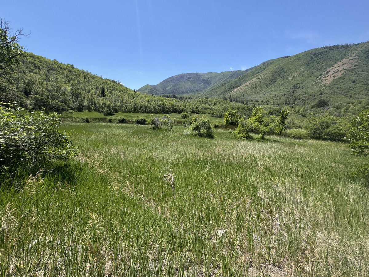 Hookemcougs's tweet image. First sabbath day hike in the books this year.