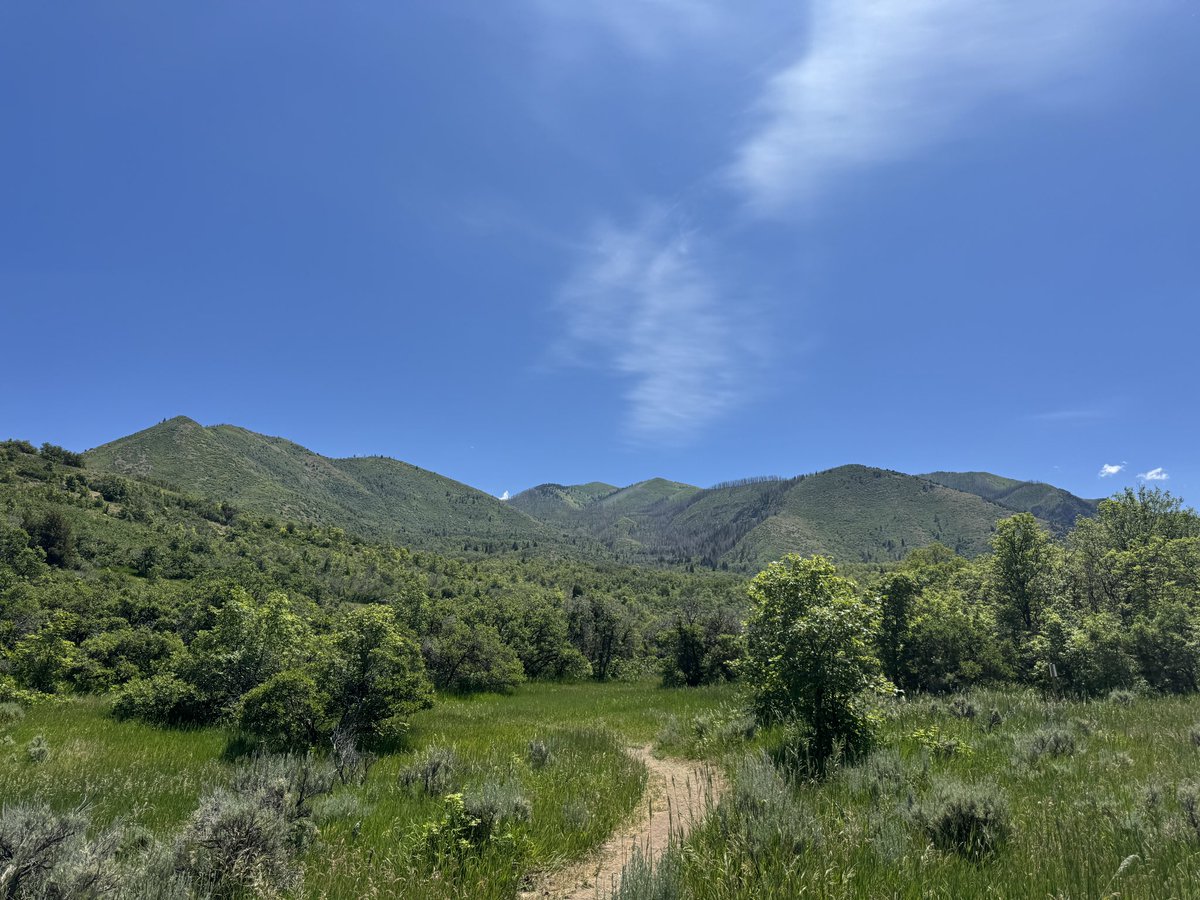 Hookemcougs's tweet image. First sabbath day hike in the books this year.