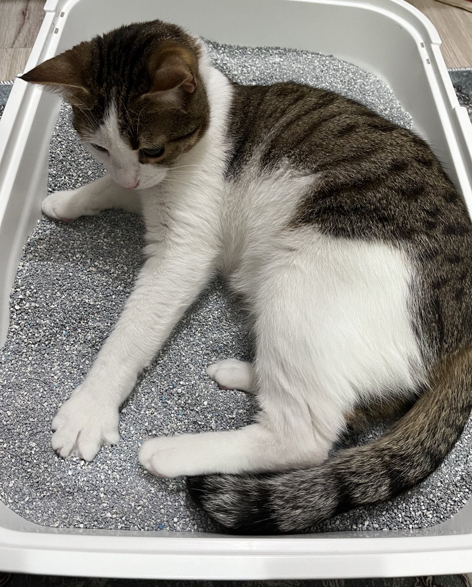 Her yeni kumda şaşmaz rutin ❤️‍🔥😂