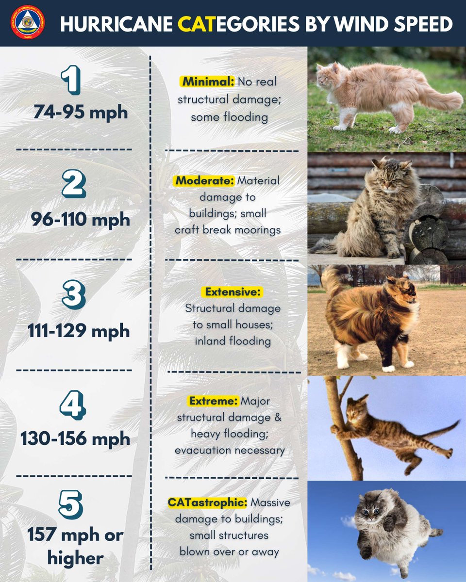 🌀 Did you know hurricanes are ranked by sustained wind speed? A Category 1 begins at 74 mph, but even a Category 1 can cause flooding and power outages. Stay informed, know your CATegory! 🌪️

Learn more at: nhc.noaa.gov/aboutsshws.php

#hurricaneseason  #KnowYourCATegory #cats
