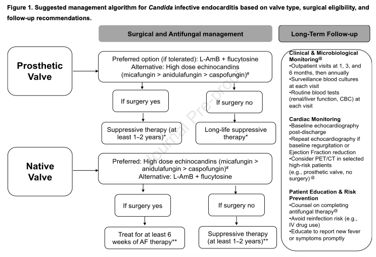 AliSMV7's tweet photo. Candida Endocarditis: current perspectives on diagnosis and therapy

https://t.co/H0Zhw8hyUt https://t.co/zvrw3jLNjJ