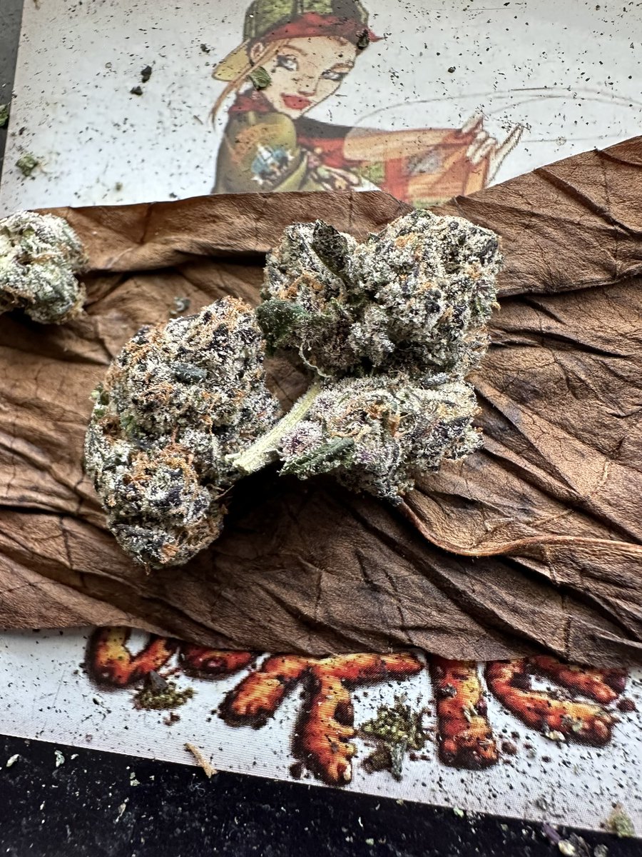 MoodY Exotics tweet media